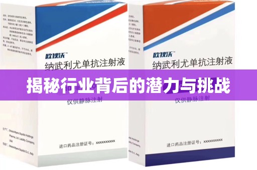 邢台揭秘行业背后的潜力与挑战