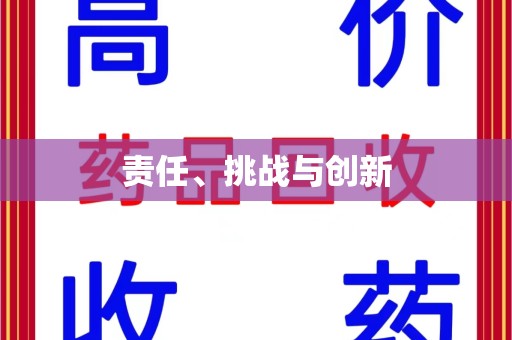 邢台责任、挑战与创新