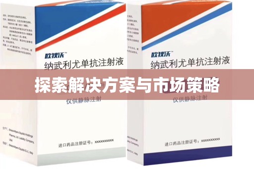 邢台探索解决方案与市场策略