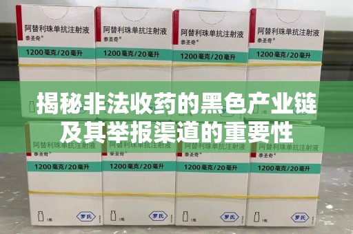 邢台揭秘非法收药的黑色产业链及其举报渠道的重要性