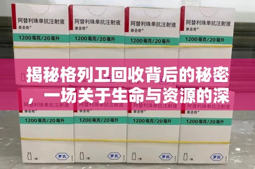 邢台揭秘格列卫回收背后的秘密，一场关于生命与资源的深刻探讨