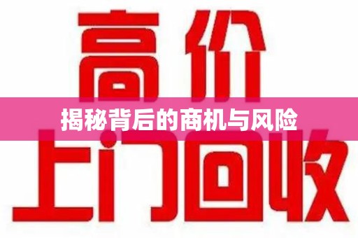 邢台揭秘背后的商机与风险